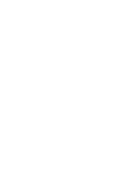 AI Readiness & Opportunity Mapping